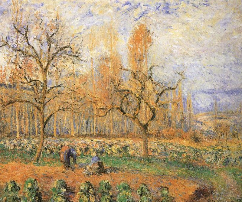 Camille Pissarro Farmland landscape France oil painting art